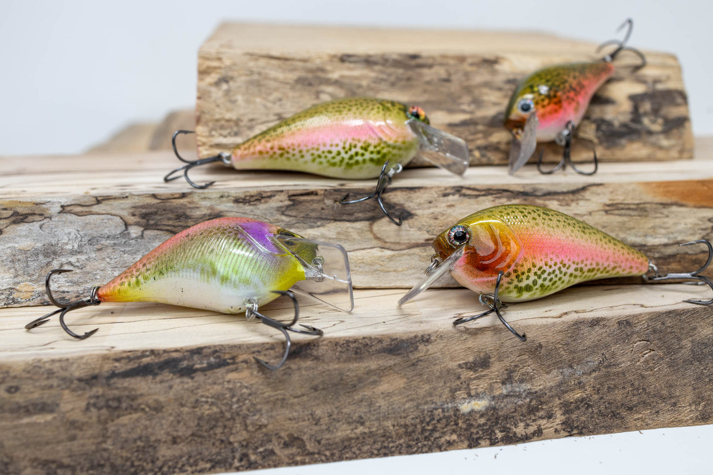 2.5 SQUAREBILL-1 KNOCKER ( RAINBOW TROUT )