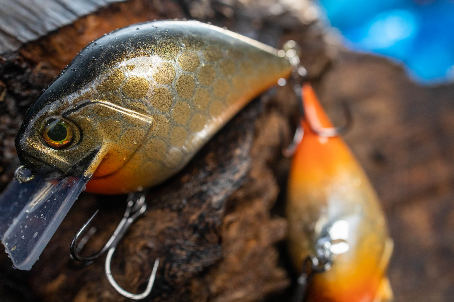 S-CRANK 2.0 (GOLDEN SHINER)