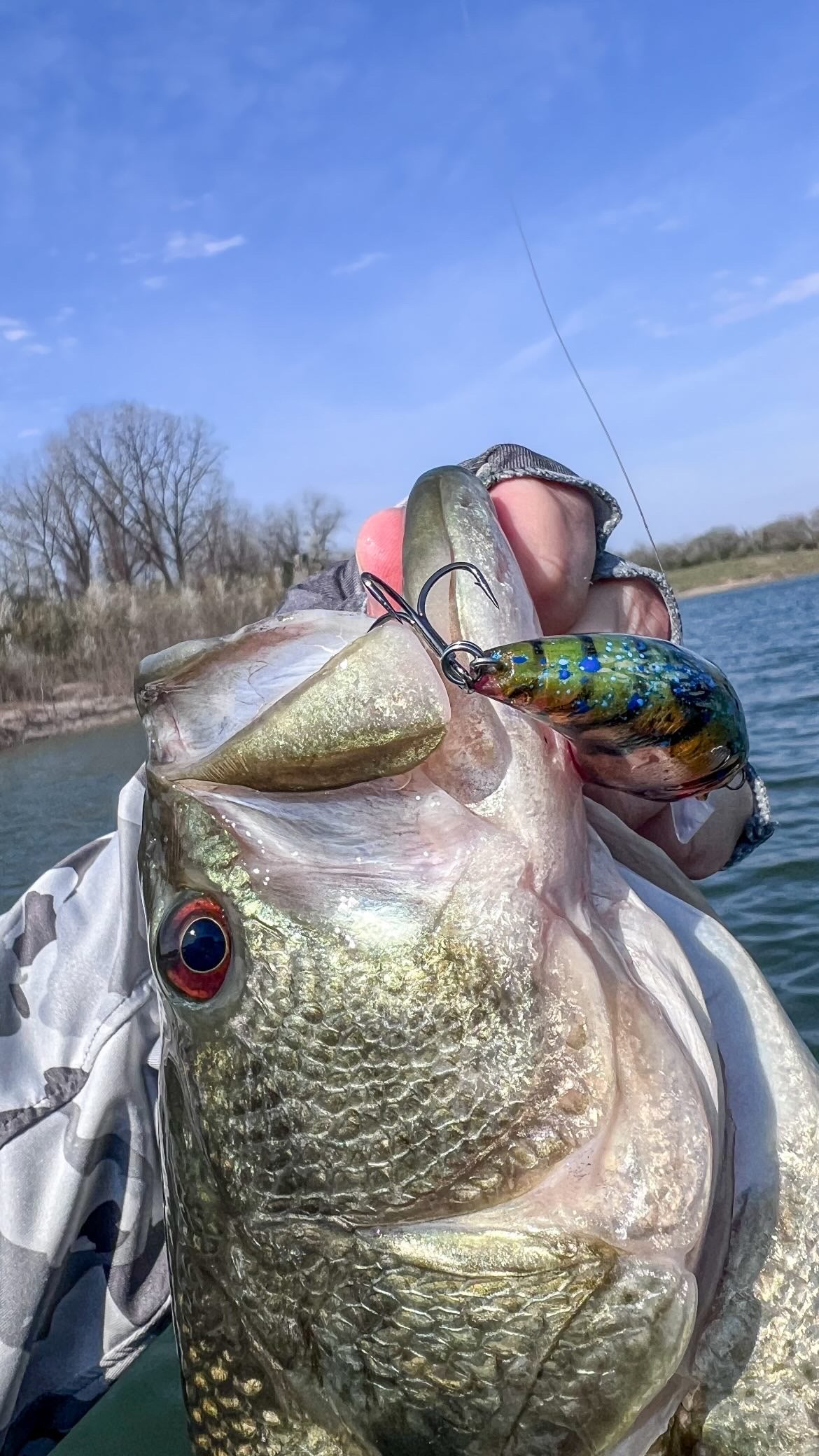 Evoke 1.2 KO (SPRING CRAW 24)