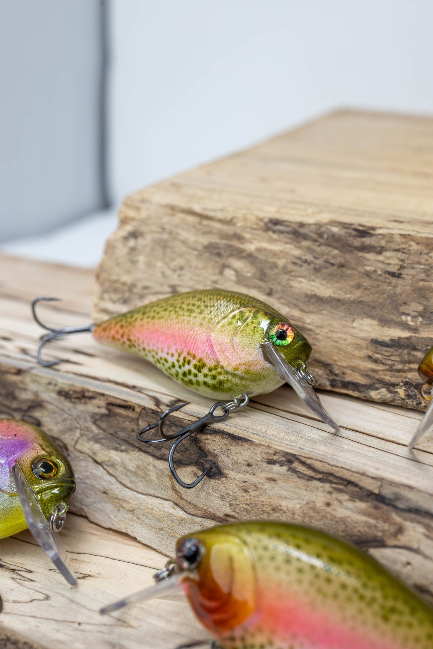 2.5 SQUAREBILL-1 KNOCKER ( RAINBOW TROUT )