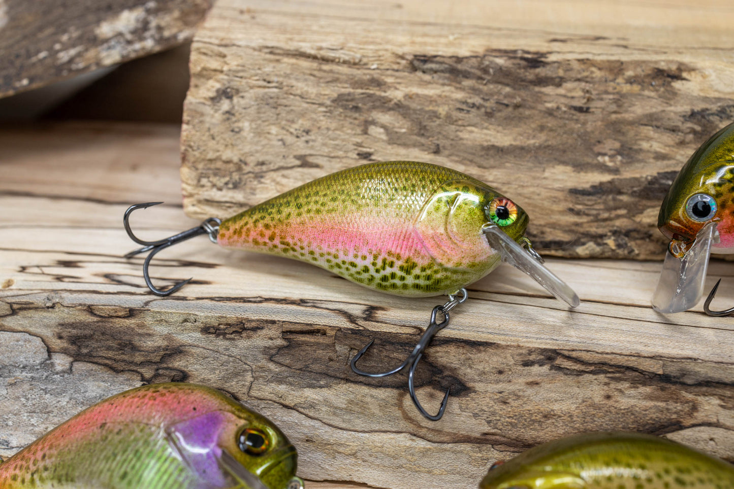 2.5 SQUAREBILL-1 KNOCKER ( RAINBOW TROUT )