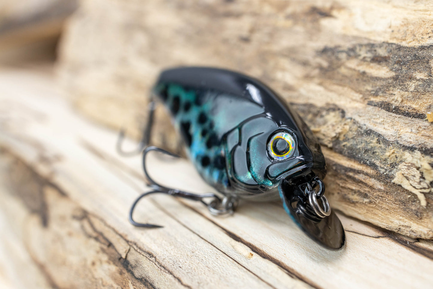 CIRCUIT BOARD LIPLESS HOLOGRAPHIC CRAPPIE)