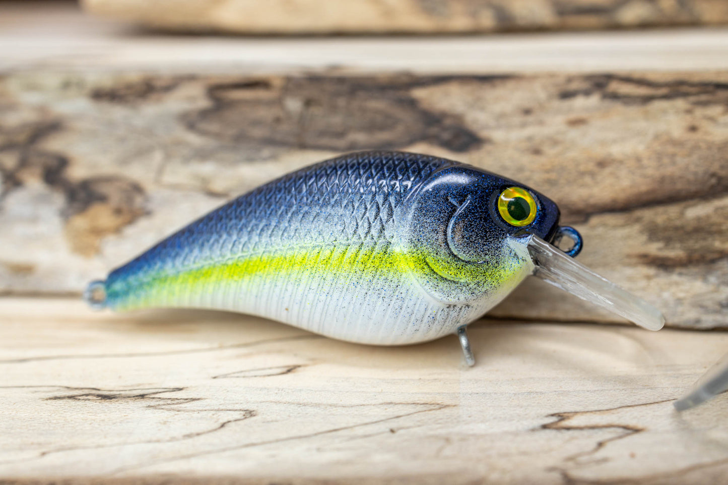1.5 SQUAREBILL-BB RATTLE (SEXY SHAD)