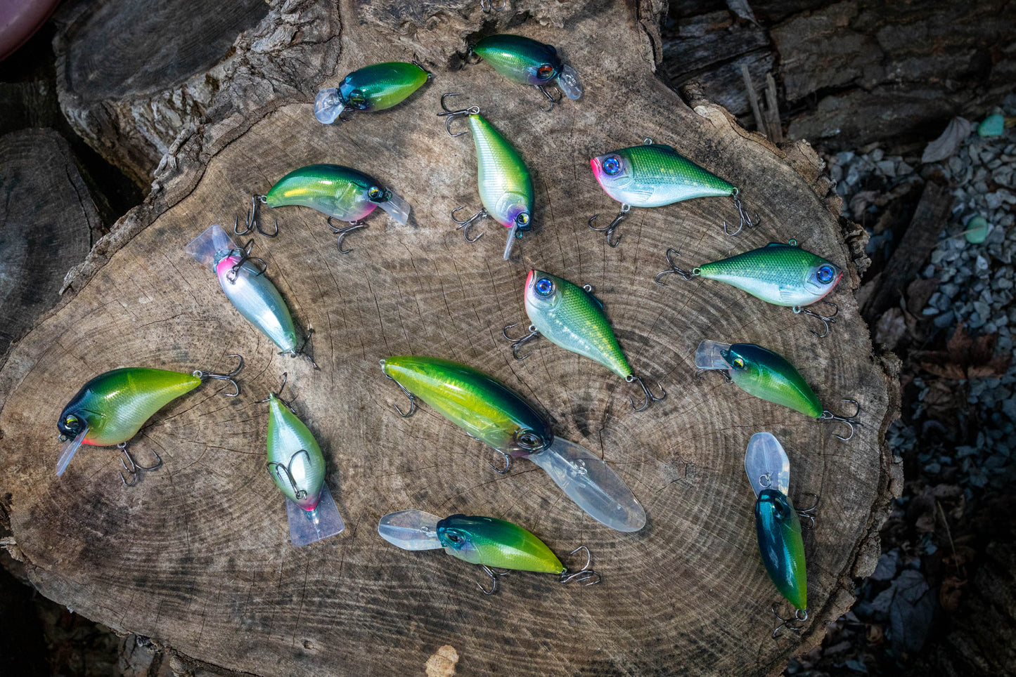 BFS CRANKBAIT ( MARSH SPECIAL 24 )