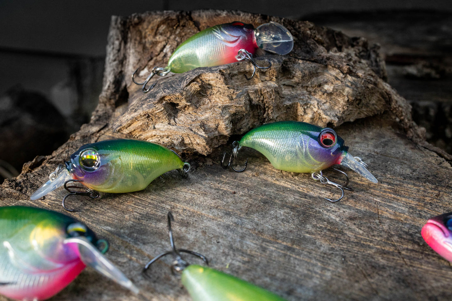 BFS CRANKBAIT ( MARSH SPECIAL 24 )