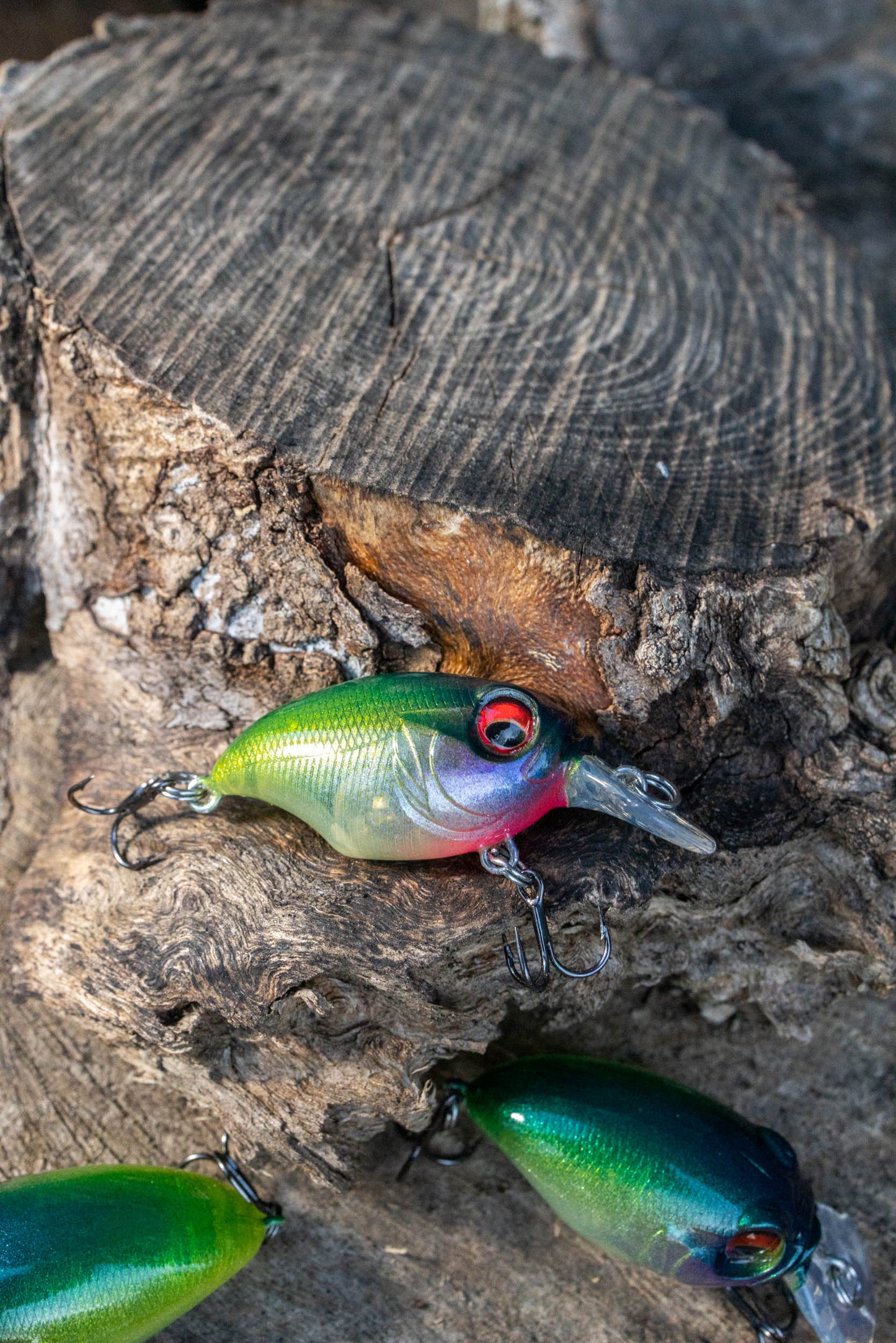 BFS CRANKBAIT ( MARSH SPECIAL 24 )