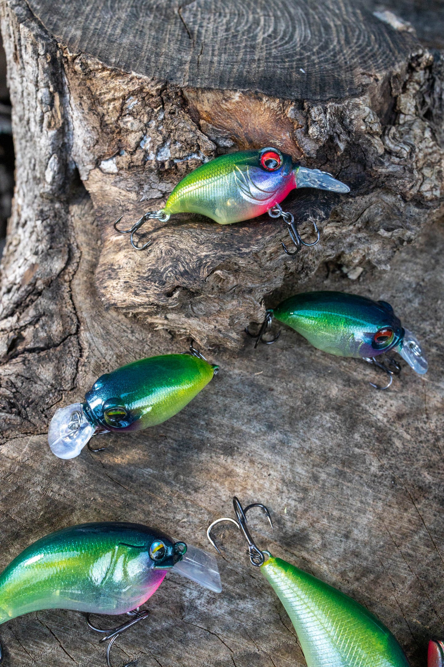 BFS CRANKBAIT ( MARSH SPECIAL 24 )