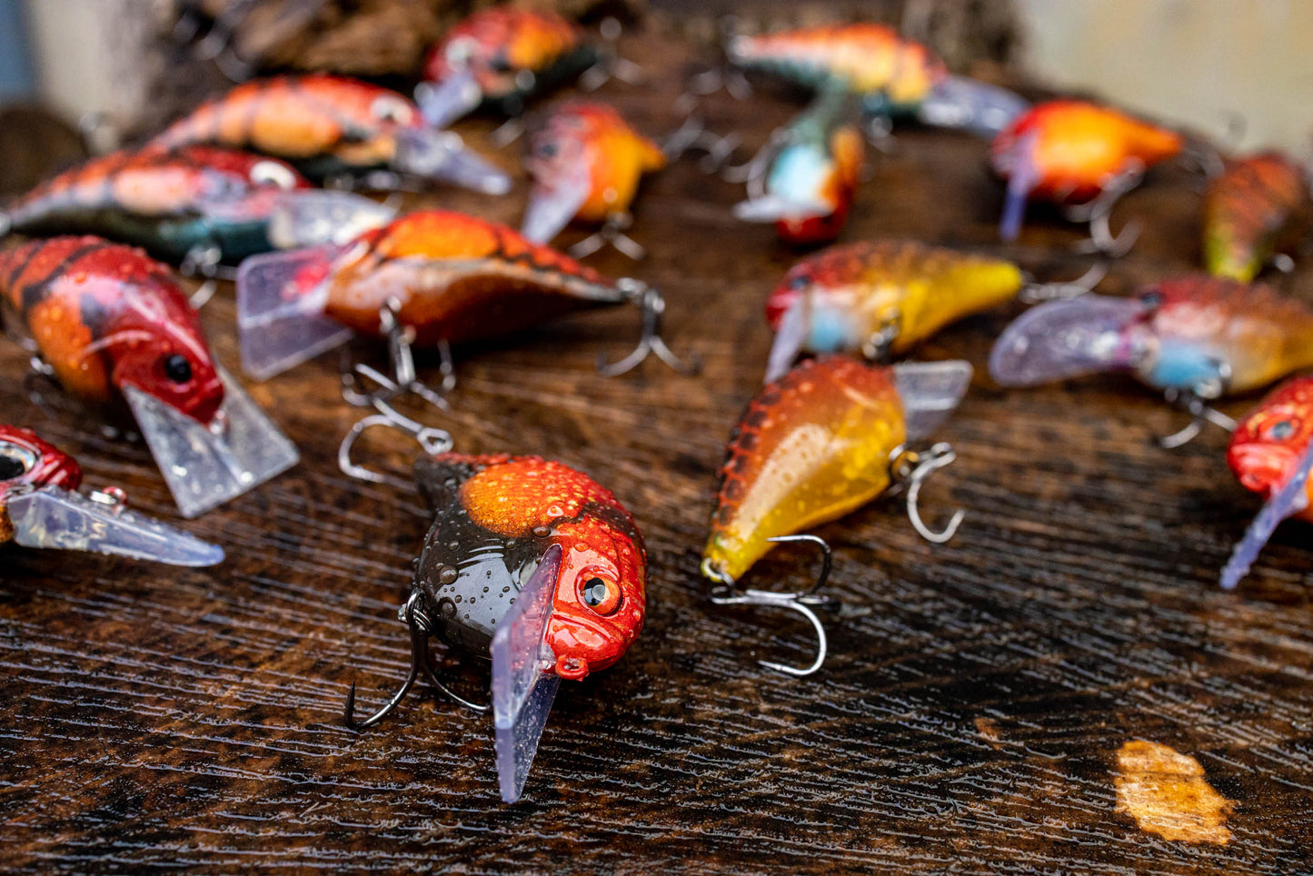 S-CRANK 1.2 (CAJUN CRAW)