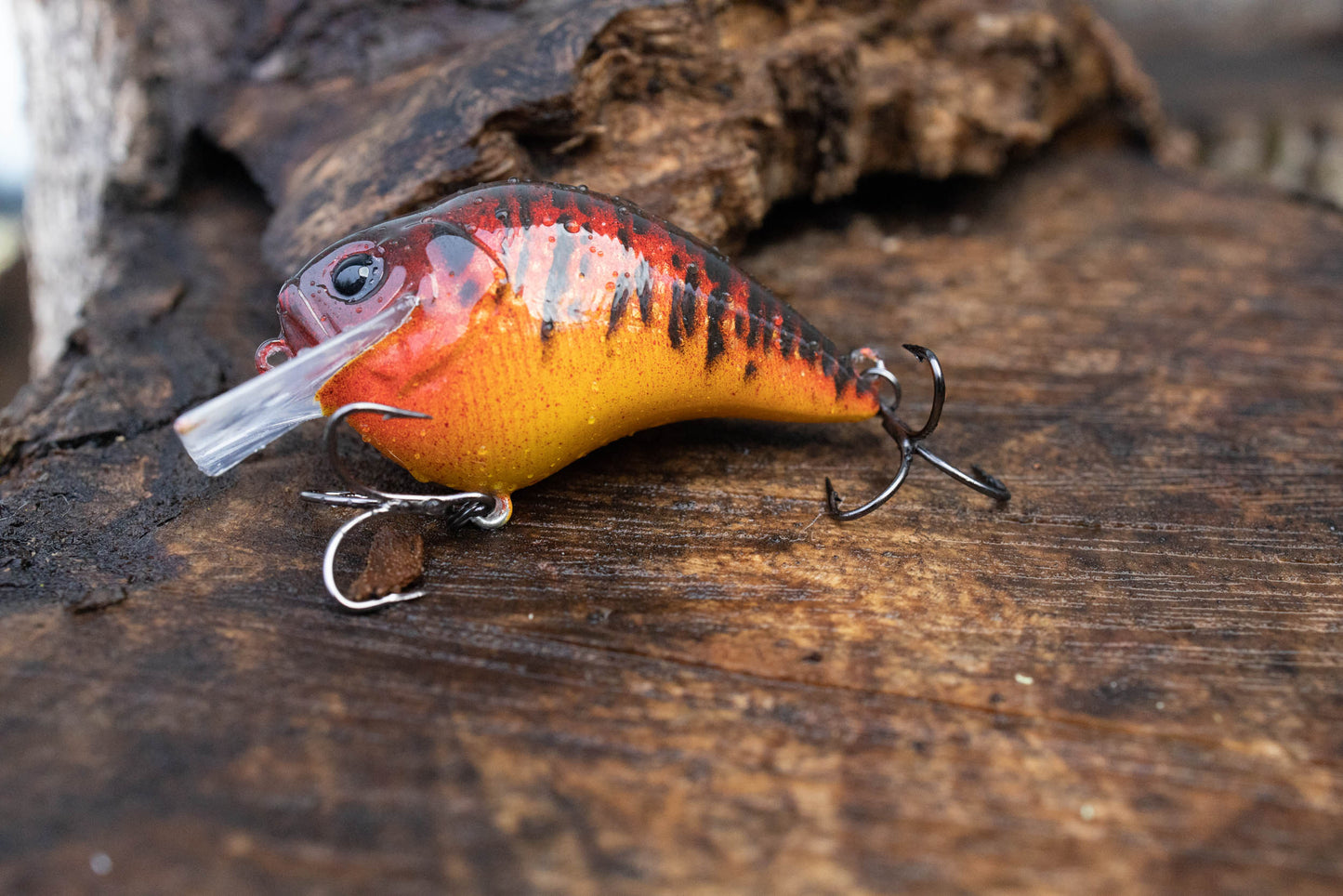 S-CRANK 1.2 (RED GILL)