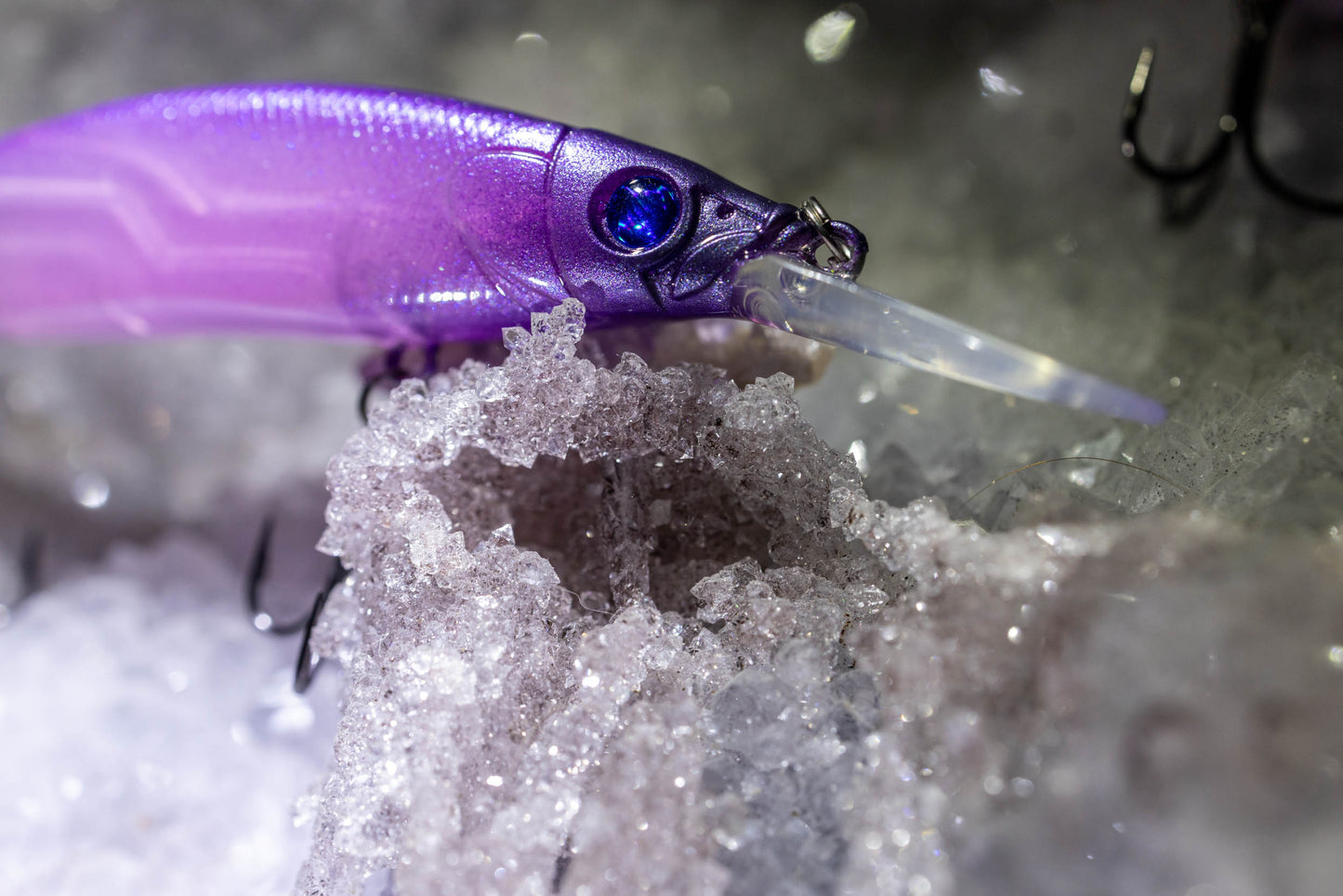 ONE10 + ONE JERKBAIT ( AMETHYST )