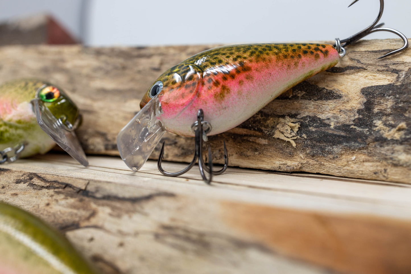 1.5 SQUAREBILL-1 KNOCKER (RAINBOW TROUT)