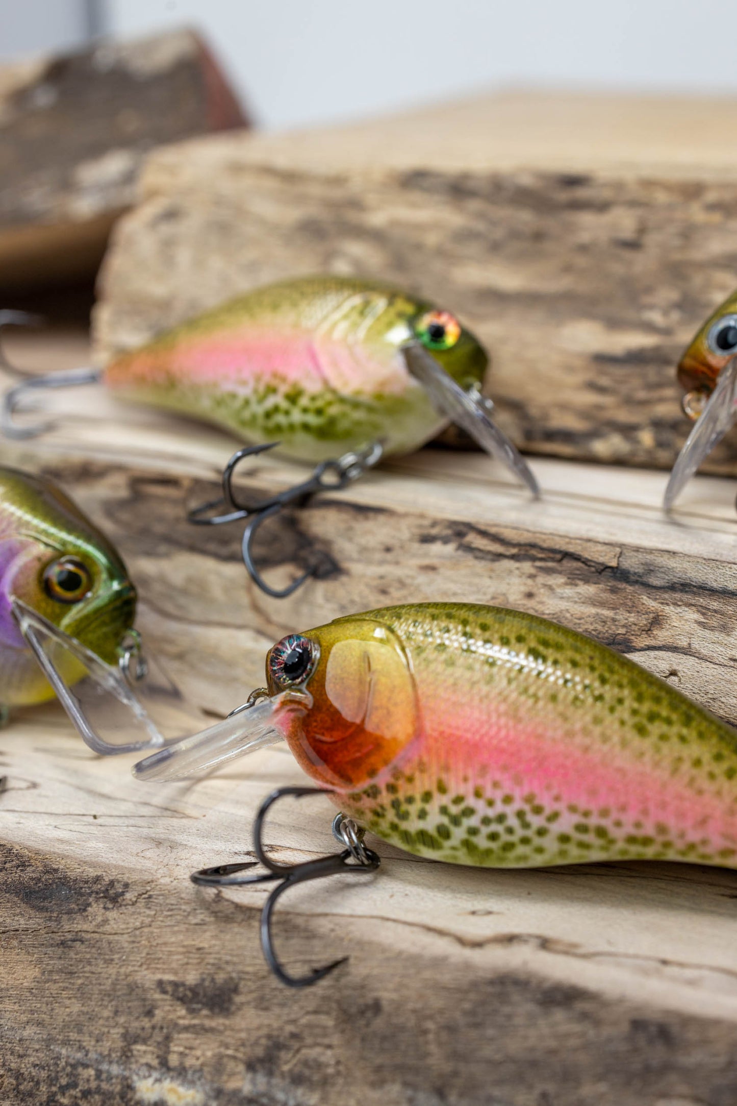 2.5 SQUAREBILL-1 KNOCKER ( RAINBOW TROUT )