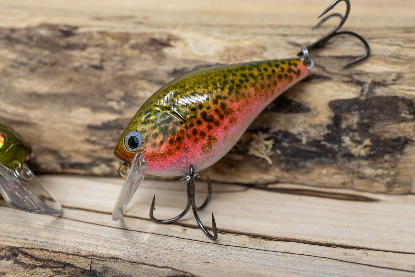1.5 SQUAREBILL-1 KNOCKER (RAINBOW TROUT)