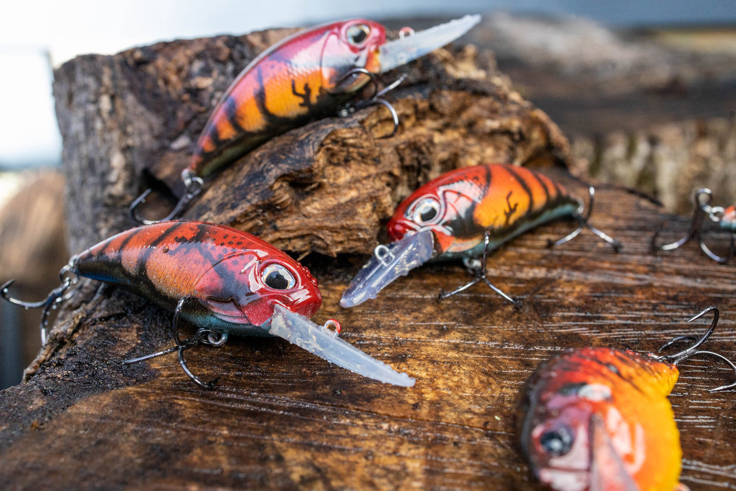 M2.5 11A CRANKBAIT (CRACKED CAJUN CRAW)