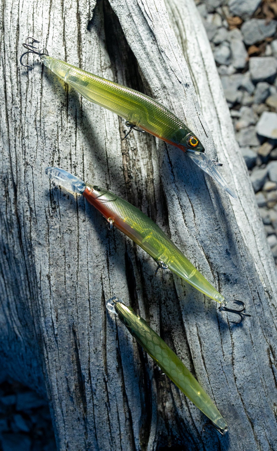 ONE10 + ONE JERKBAIT (OL TRUSTY)