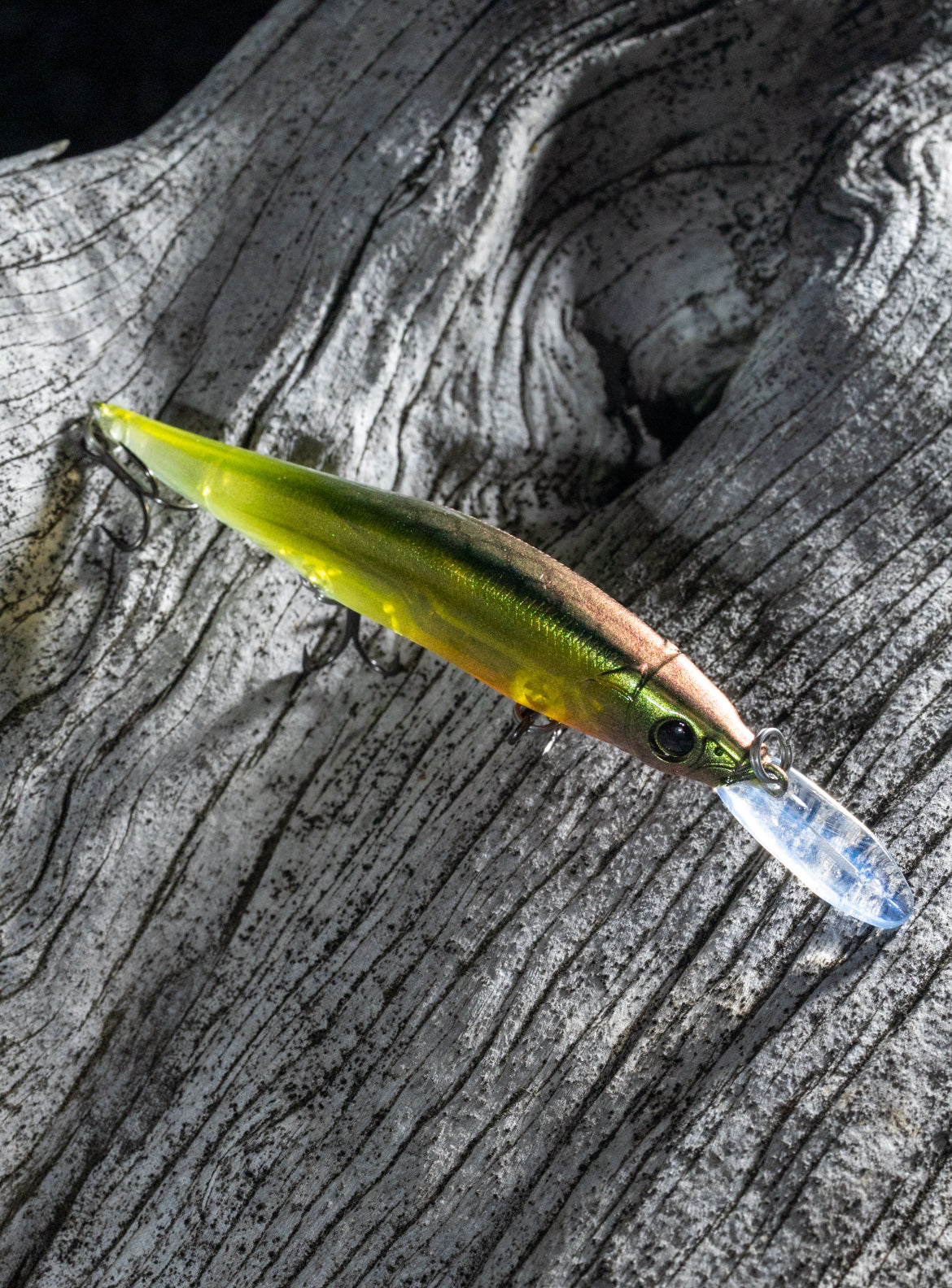ONE10 + ONE JERKBAIT (OL TRUSTY)