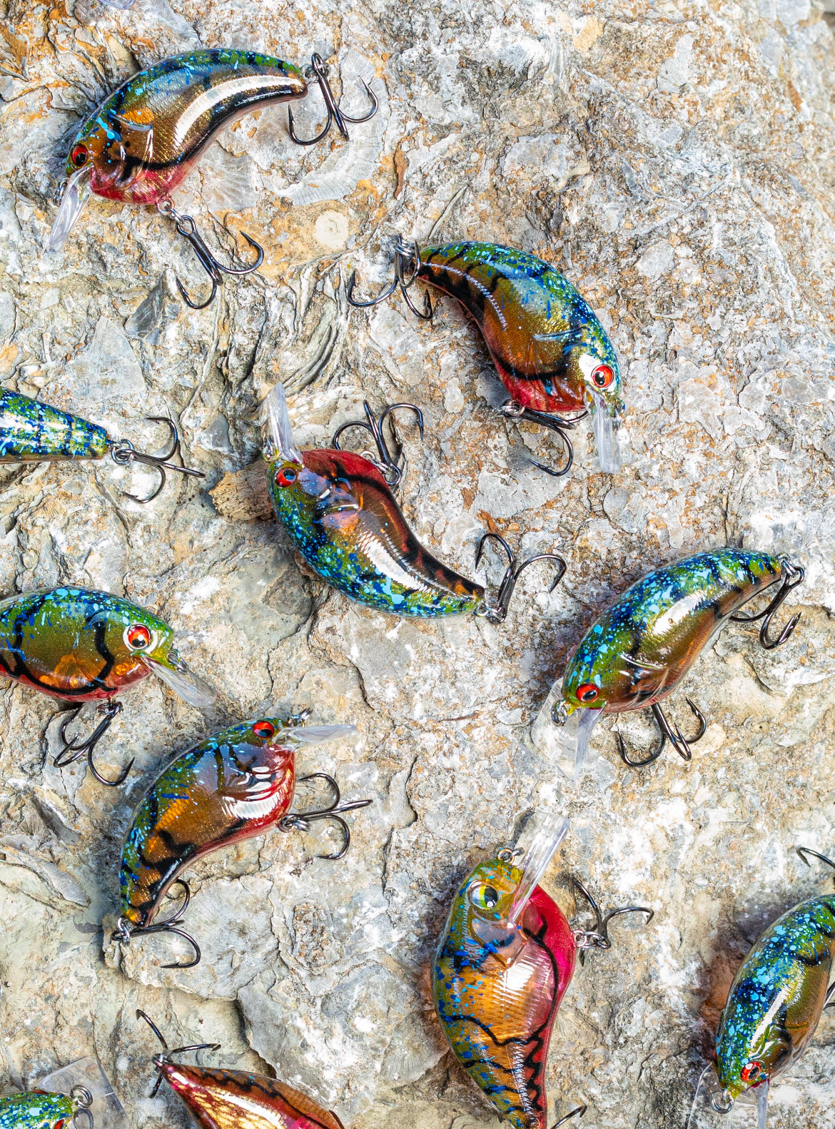 Evoke 1.2 KO (SPRING CRAW 24)
