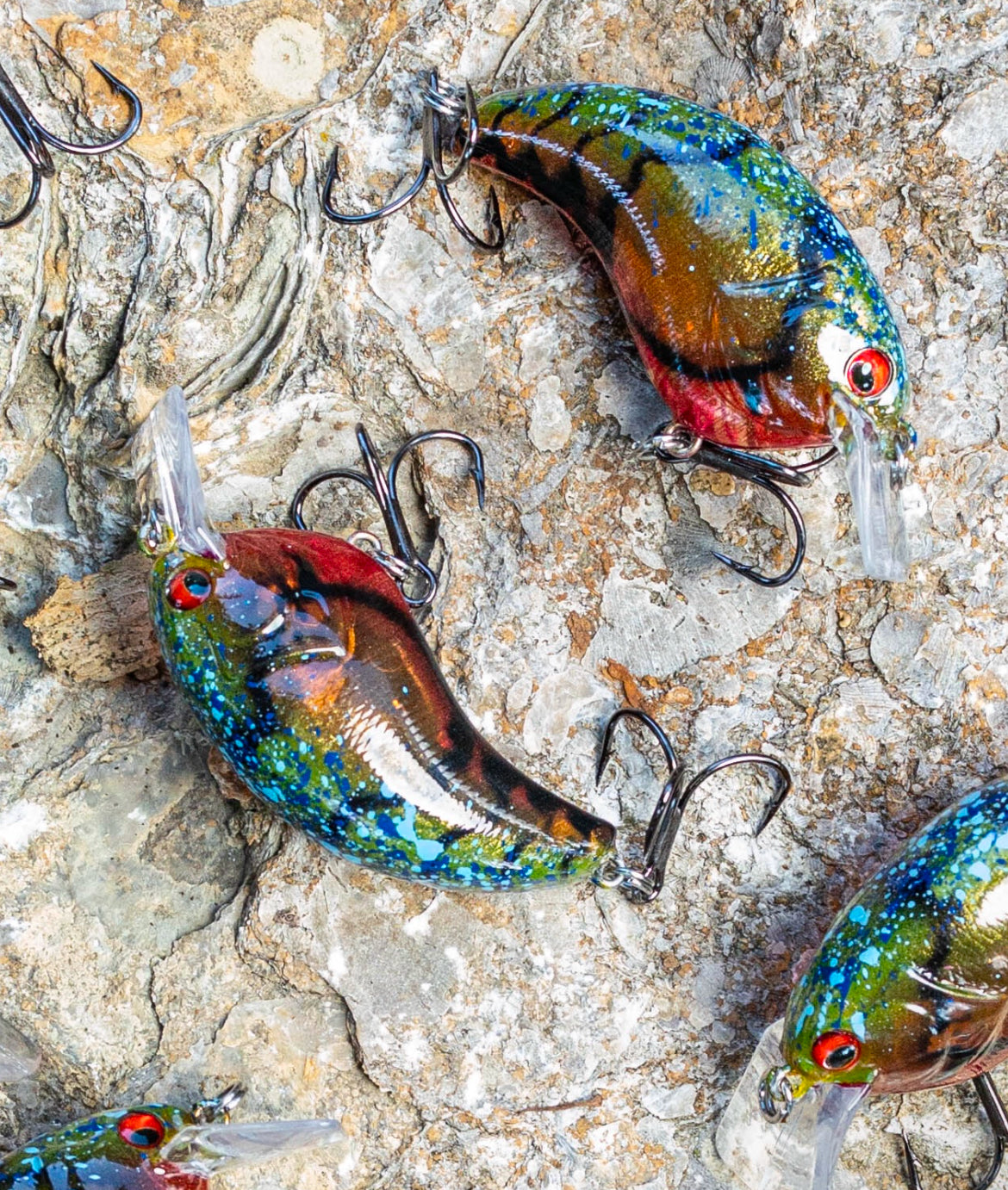 Evoke 1.2 KO (SPRING CRAW 24)