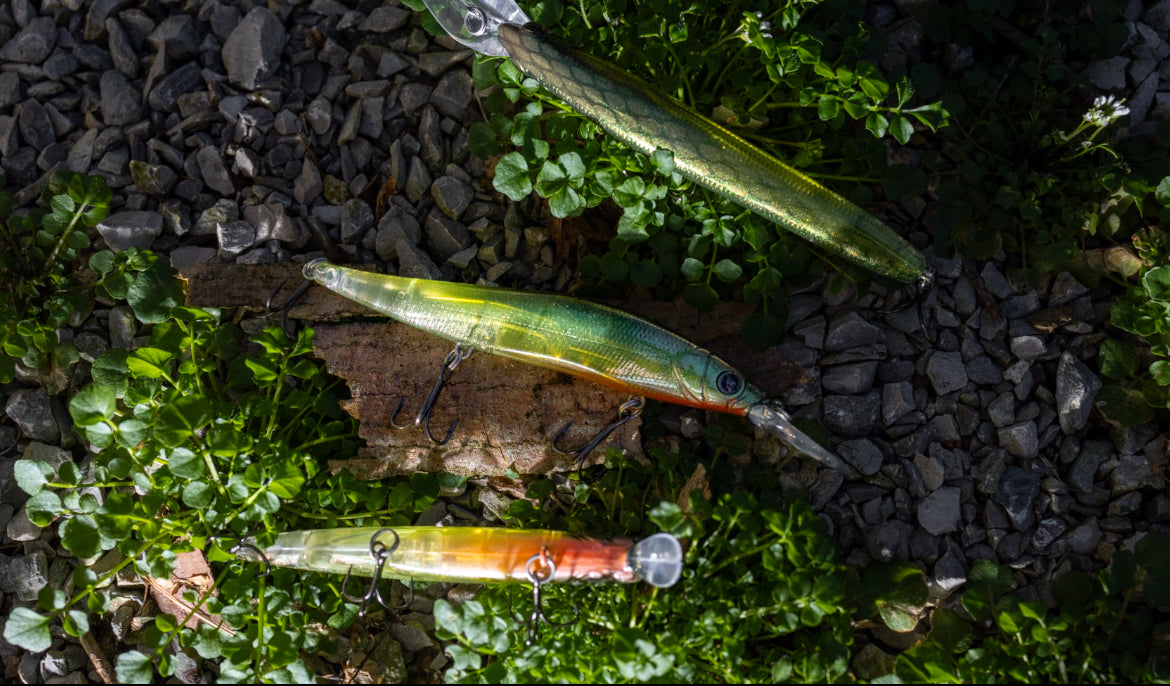 ONE10 + ONE JERKBAIT (OL TRUSTY)
