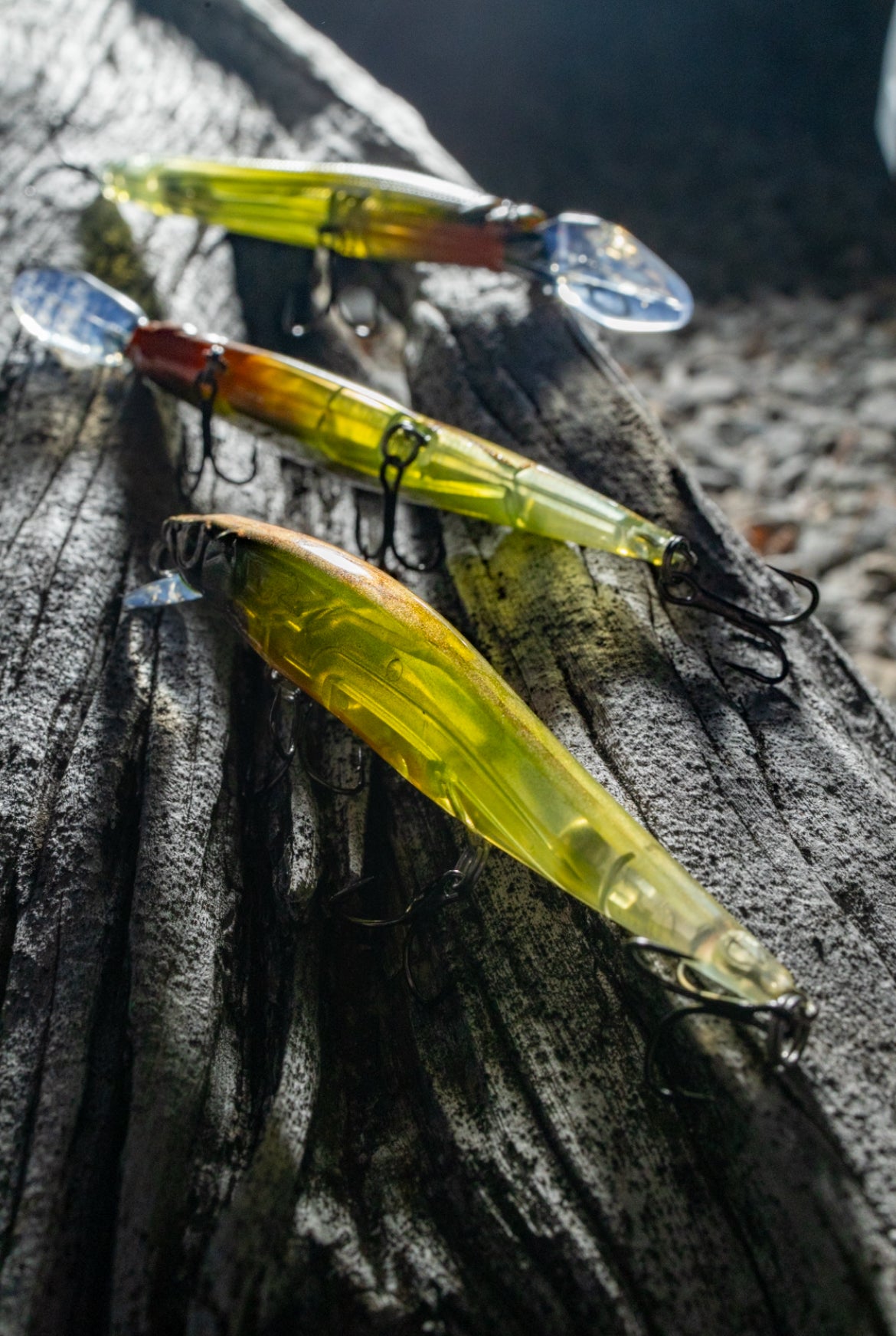 ONE10 + ONE JERKBAIT (OL TRUSTY)