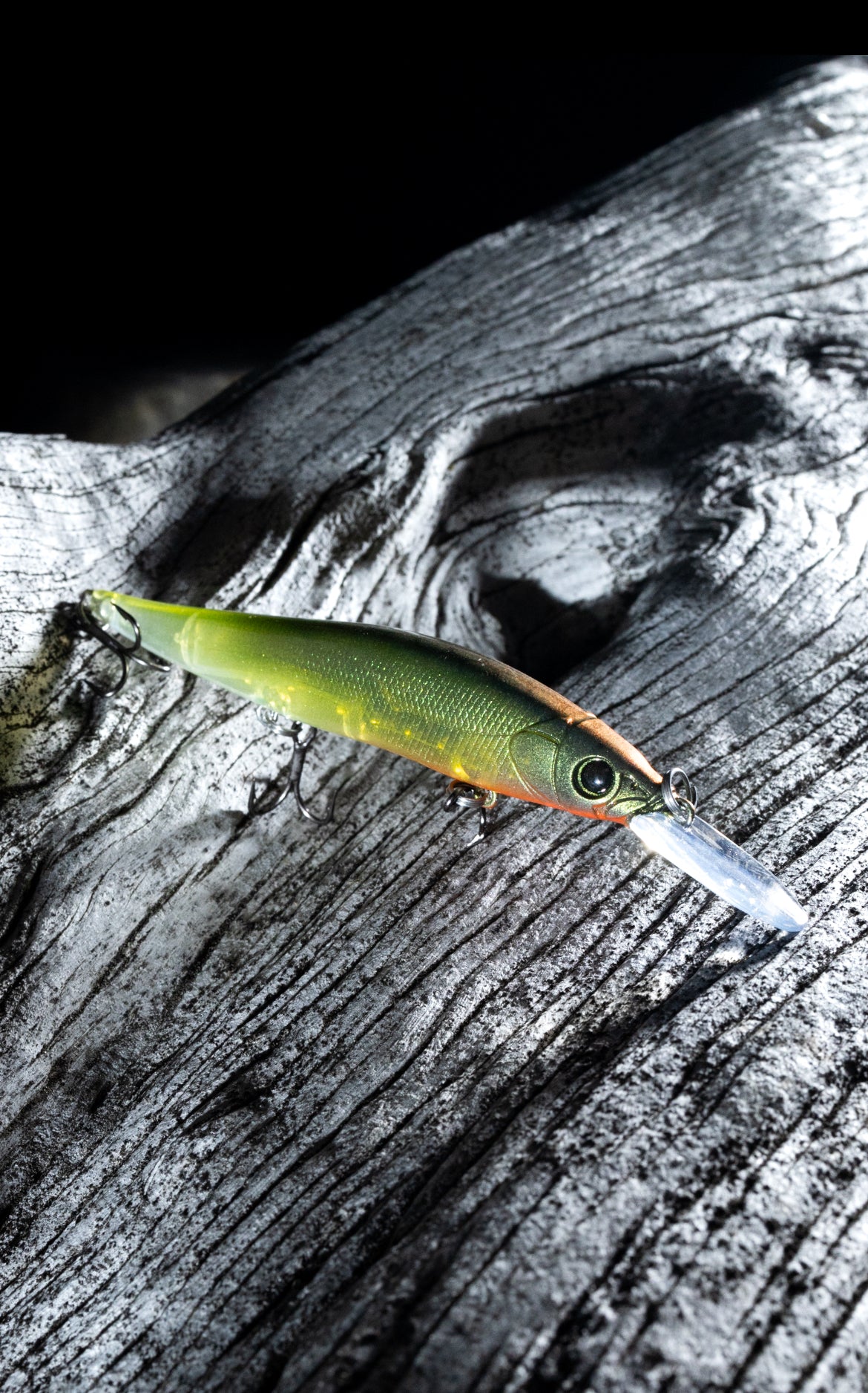 ONE10 + ONE JERKBAIT (OL TRUSTY)
