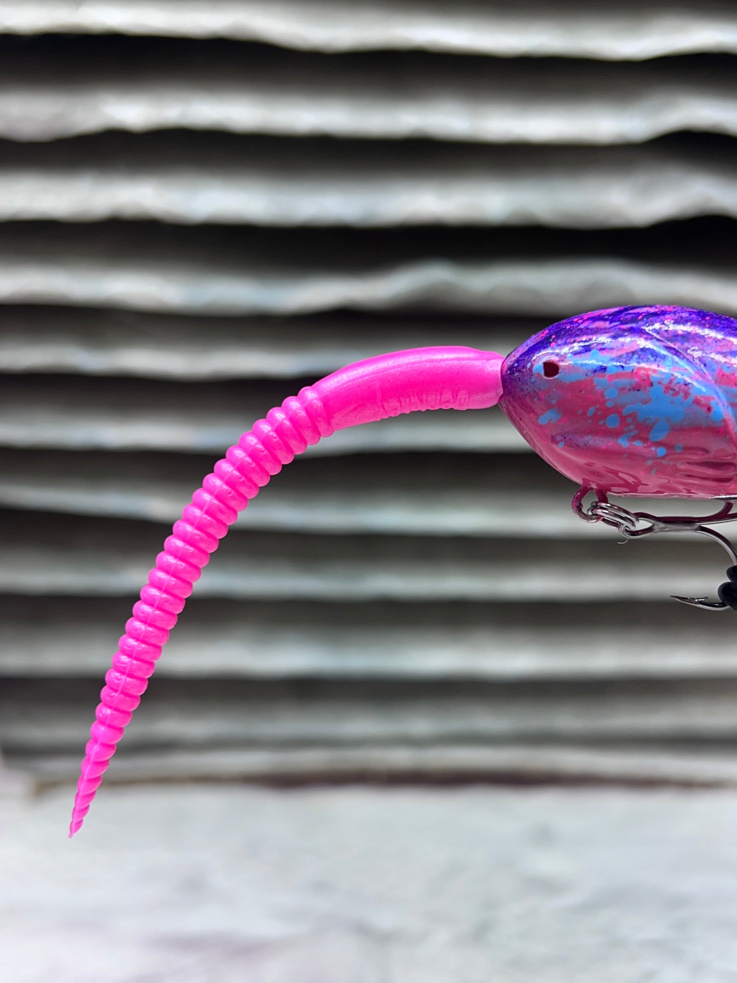 Miami Mice ( WAKE BAIT )
