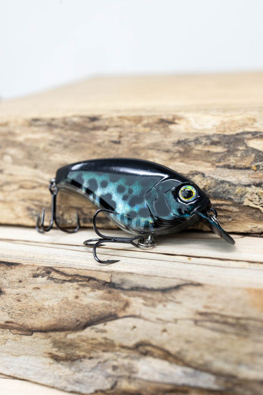 CIRCUIT BOARD LIPLESS HOLOGRAPHIC CRAPPIE)